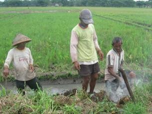 Kadinkes Kab. Pasuruab Himbau Masyarakat Waspada Penyakit PES