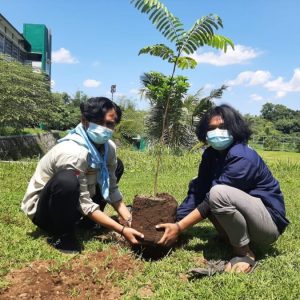 Hari Bumi Sedunia, Tanam 1000 Pohon Dan Donor Darah Massal