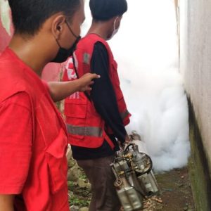 Satu Balita Meninggal Dunia Akibat DBD, 100 Rumah di Fogging