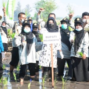 Bupati Ikvina Harapkan Petani Tanam Padi Lima Varietas Unggulan dengan Pola Tanam Jarwo