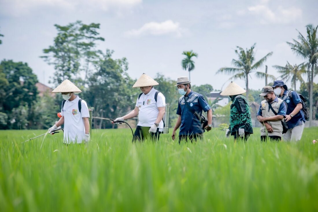 Kelompok Tani Jember Ciptakan Pembasmi Hama Padi