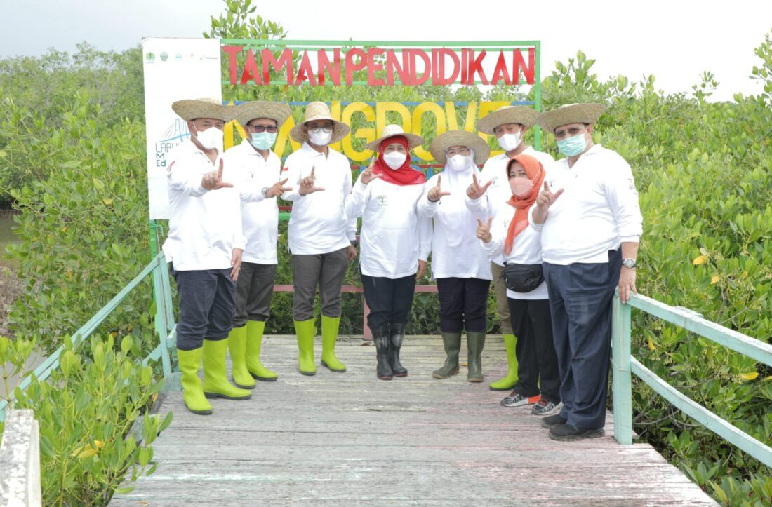 Jawa Timur Kejar Target 34 Ribu Hektare Restorasi Mangrove