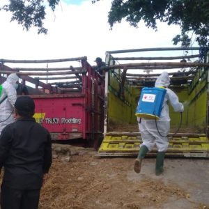 Relawan PMI Semprot Pasar Hewan dengan Disinfektan