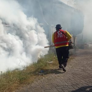 PMI Lakukan Foging, DB Kembali Menyerang Masyarakat Jember