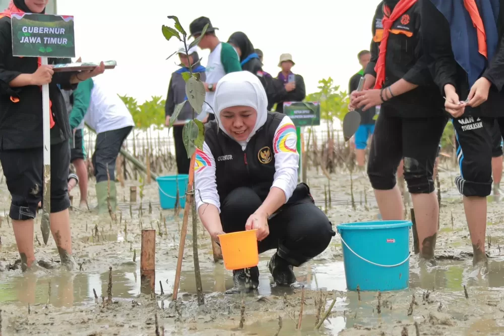 Gaungkan Sedekah Oksigen dengan Tanam Ribuan Bibit Mangrove dan Bibit Cemara Udang