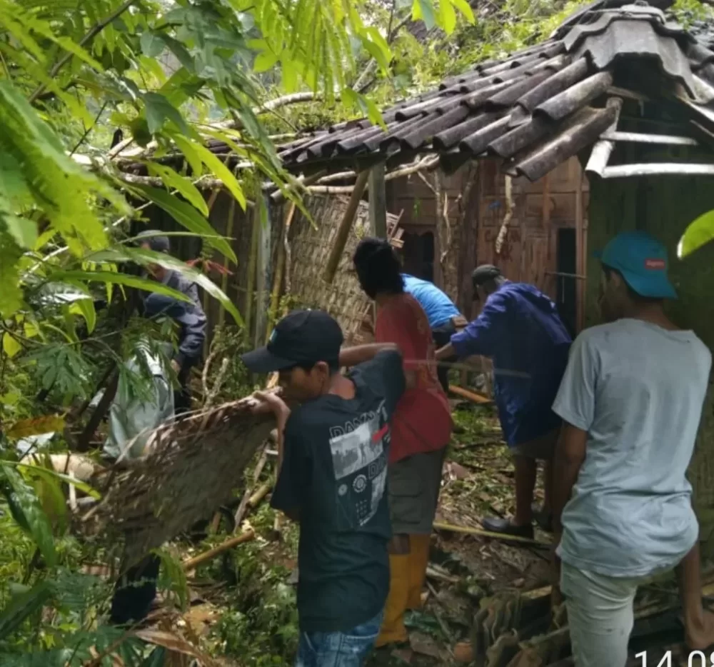 Rumah Janda Miskin di Pacitan Dihancurkan Pohon Tumbang