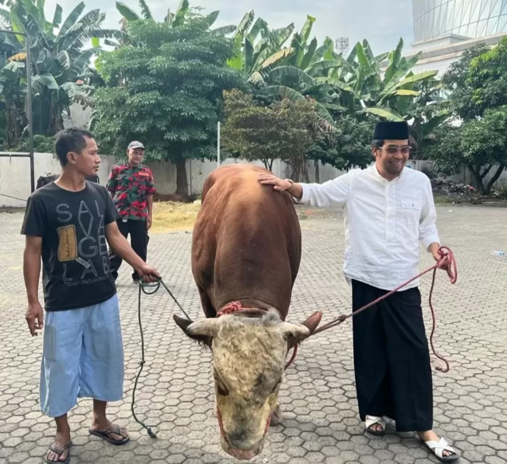 Sebuah Pengorbanan Yang Tiada Tara