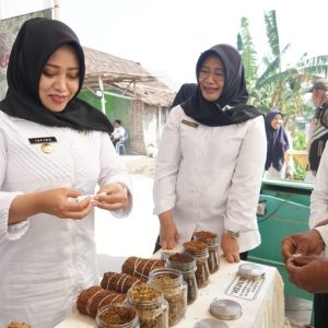 Tembus 45.000/Kg, Bupati Ikfina Minta Petani Tembakau Jaga Kualitas