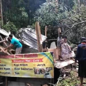 Pohon Tumbang Timpa Warung Jalur Wisata Trawas Tutup Sementara