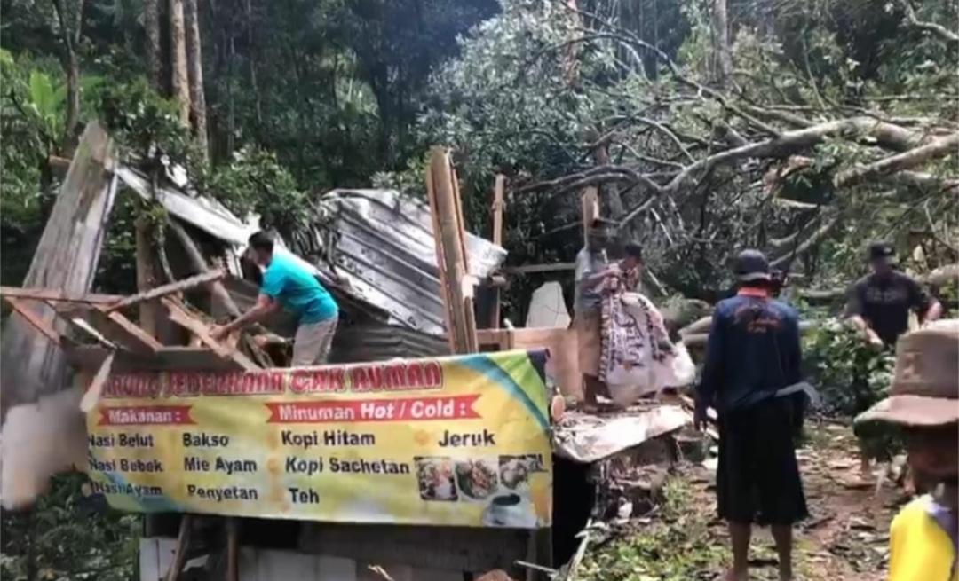 Pohon Tumbang Timpa Warung Jalur Wisata Trawas Tutup Sementara