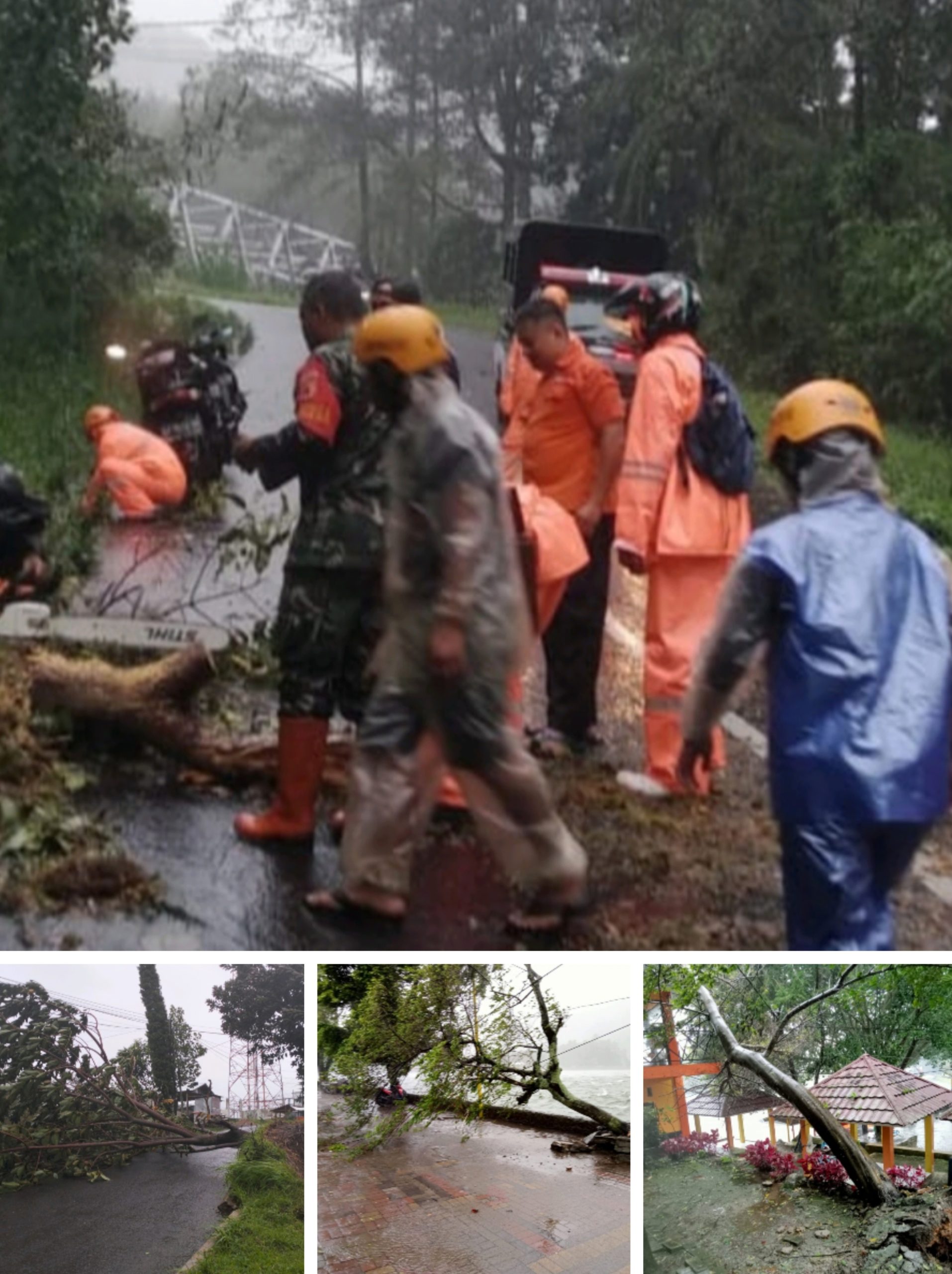 Digempur Hujan Angin, Pohon Bertumbangan di Wilayah Magetan