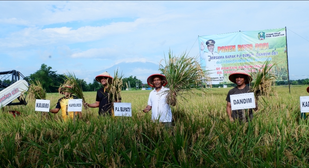 Memasuki Panen Raya Kabupaten Magetan Surplus Beras