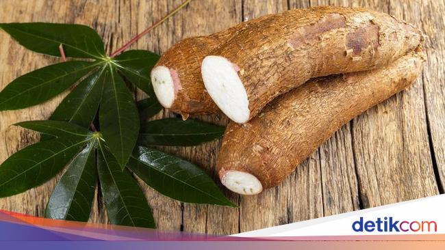 5 Manfaat Daun Singkong dan Kandungan Gizinya