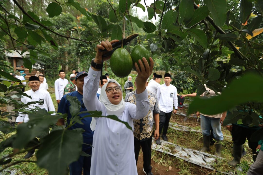 Serap Aspirasi dan Potensi, Bupati Banyuwangi Rela Ngantor di Desa