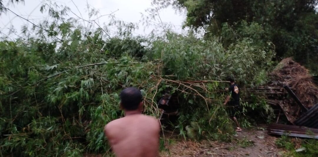 Seorang Meninggal, 2 Pria Tertimpa Barongan Bambu Ambruk Tempatnya Berteduh