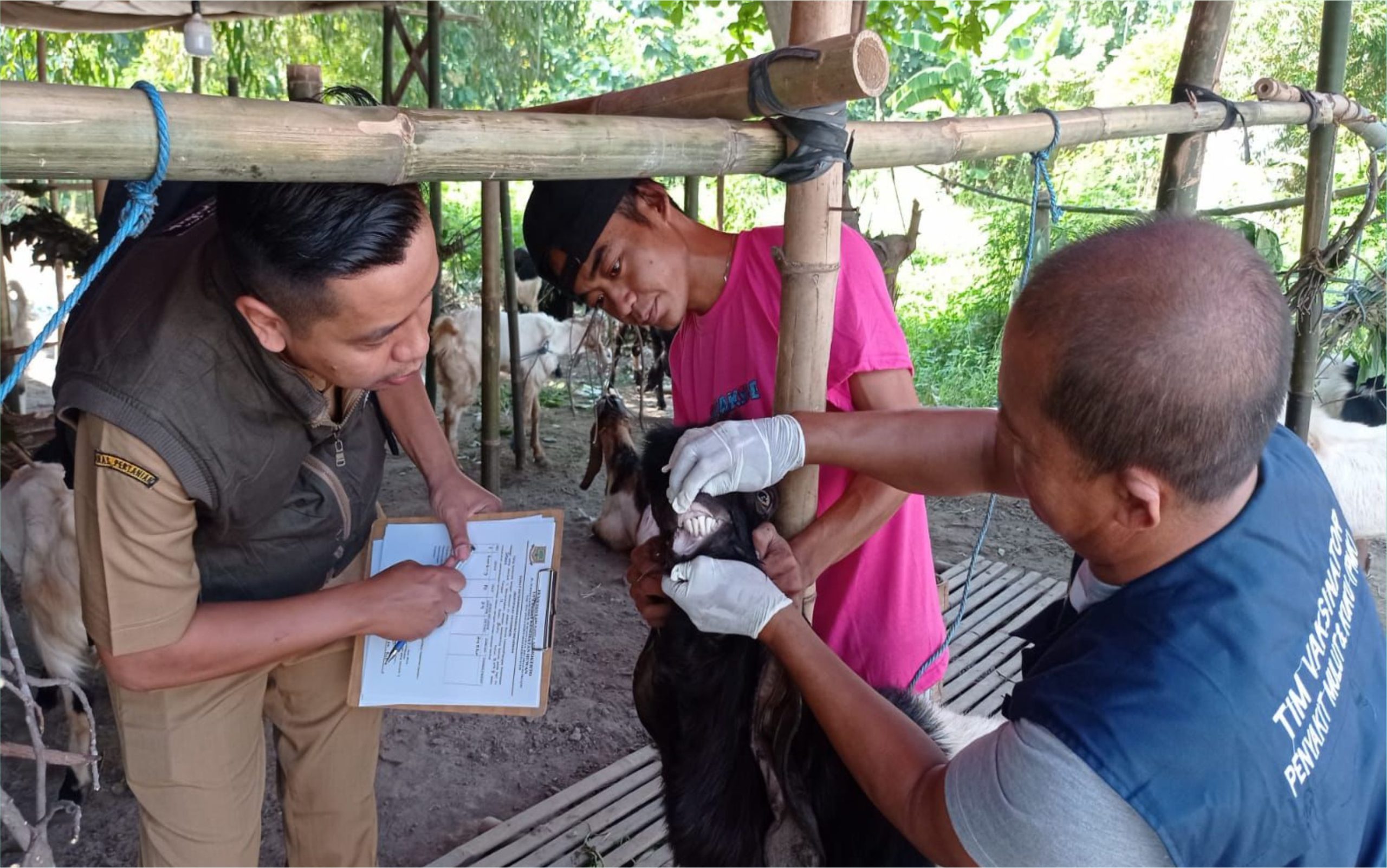 Pemkot Mojokerto Monitoring Kesehatan Hewan Kurban dari Lapak hingga RPH