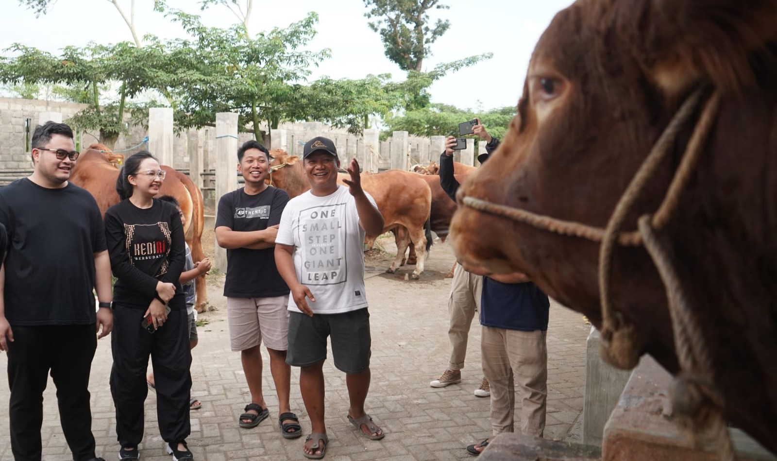 Jelang Idul Adha 1445 H, Bupati Kediri Siapkan 4 Sapi Limosin untuk Kurban