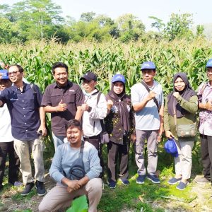 Jagung TKS 234 Diproyeksikan Jadi Andalan Petani Blitar