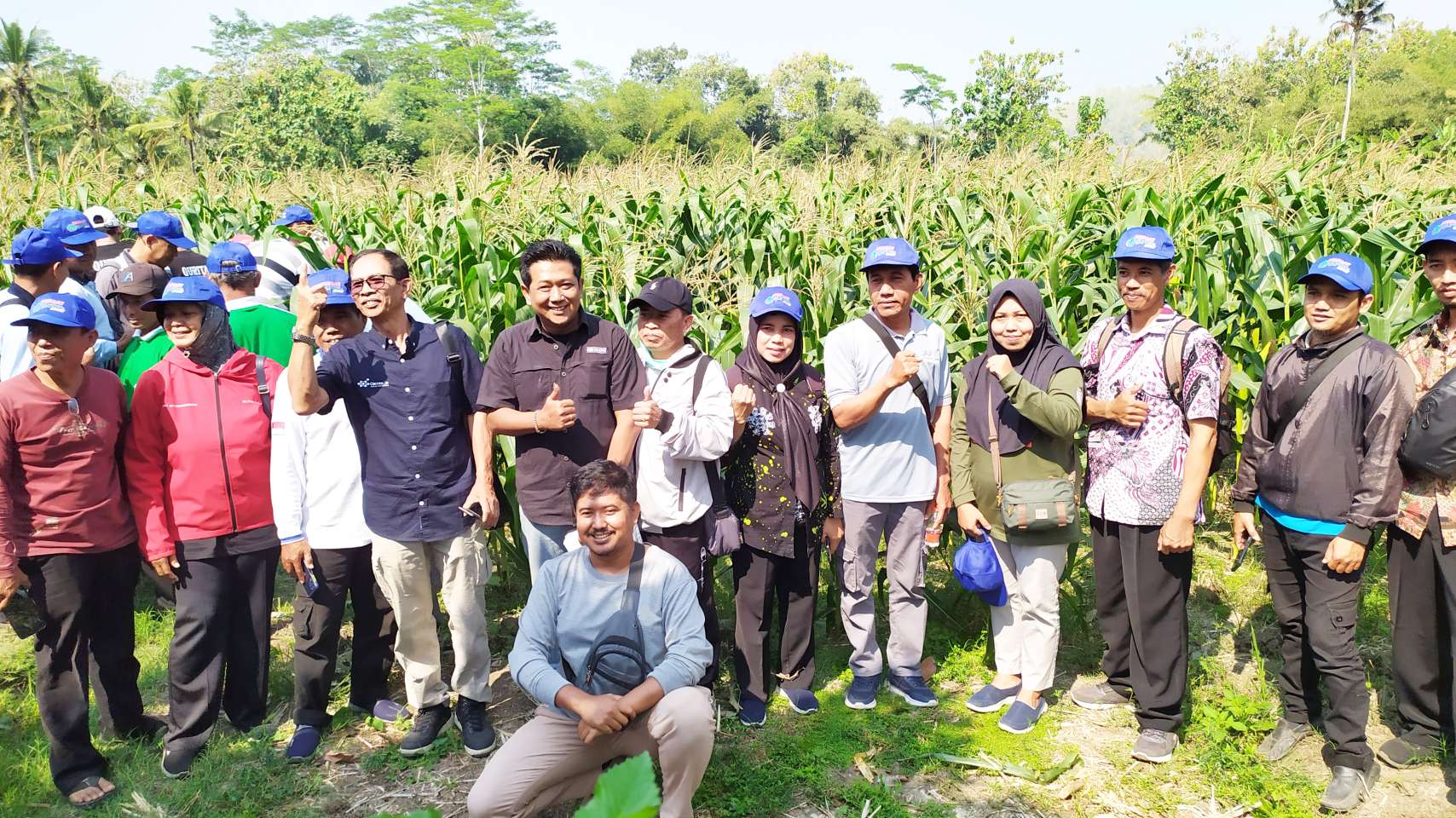 Jagung TKS 234 Diproyeksikan Jadi Andalan Petani Blitar