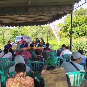 Petani di Blitar Ikuti Sosialisasi Program Bantuan Bibit Jagung dari Pemerintah