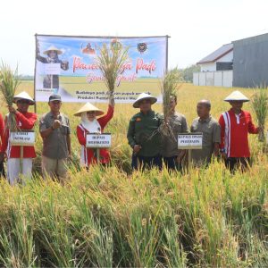 Panen Raya:  Bupati Ikfına Dorong Petani Manfaatkan Pupuk Organik Urine Kelinci