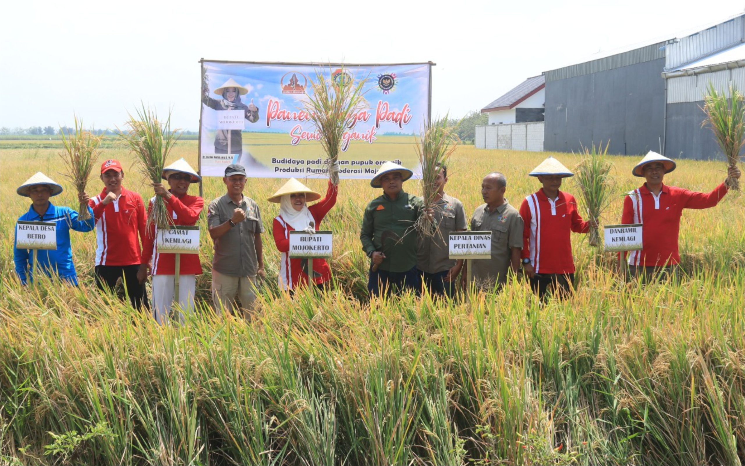 Panen Raya:  Bupati Ikfına Dorong Petani Manfaatkan Pupuk Organik Urine Kelinci