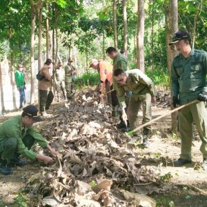 Musim Kemarau, KPH Tuban Imbau Jangan Bakar bakar di Hutan