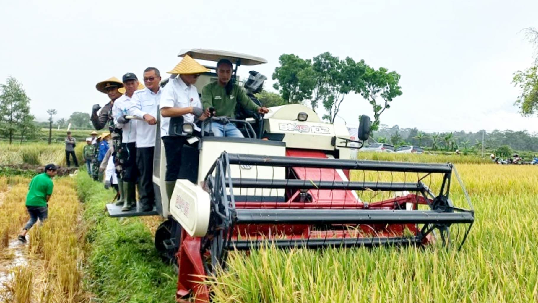 Kelompok Tani Rukun Santoso Rayakan Panen Padi bersama DKPP Blitar