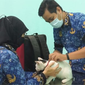 Peringati Hari Rabies : Puskeswan Kota Mojokerto Gelar Vaksinasi Rabies Gratis