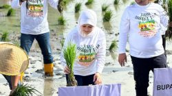 Kajati Jatim Turun Ke Sawah, Komitmen Beri Pendampingan Hukum Bagi Petani