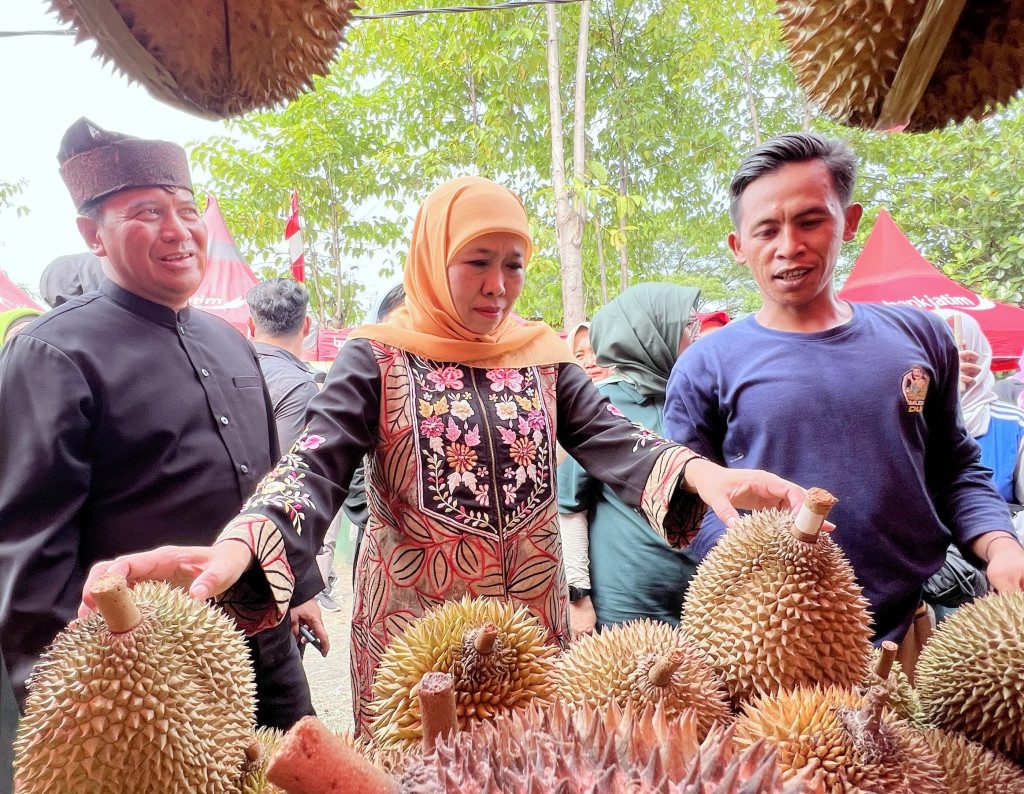 Khofifah Borong Durian Di Bazar Durian di Rest Area Poghading