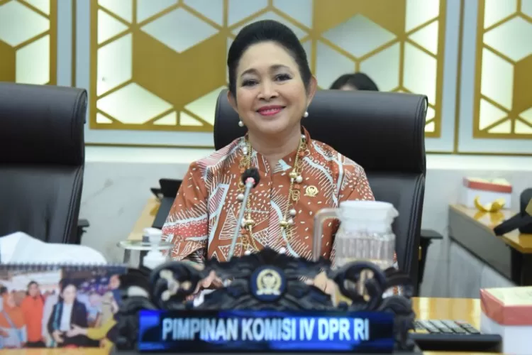 Dukung Swasembada Pangan, Titiek Soeharto: Percepat Realisasi Bantuan Kelompok Tani