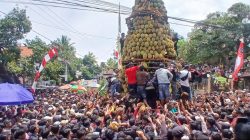 Tumpeng Durian Setinggi 15 Meter Meriahkan Selamatan Desa  di Pasuruan