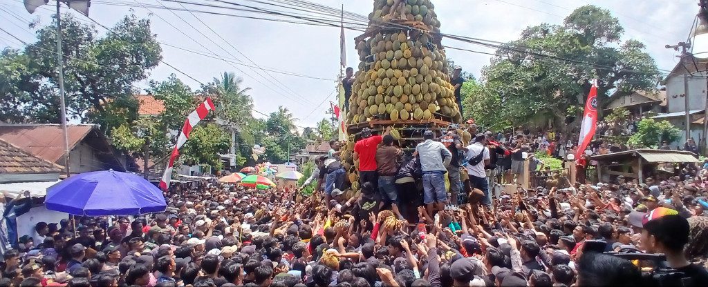 Tumpeng Durian Setinggi 15 Meter Meriahkan Selamatan Desa  di Pasuruan