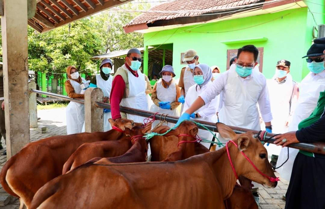 Jatim Status Darurat PMK, Pj. Gubernur Imbau Penanganan Dilakukan Cepat dan Holistik