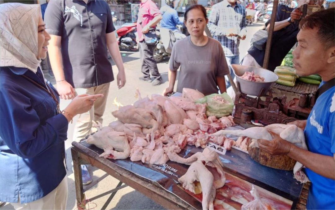 Disperindag Sidak Rumah Potong Unggas Belum Bersertifikat  Halal