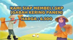 Perum Bulog Bojonegoro Jemput Bola Beli Gabah Langsung dari Petani