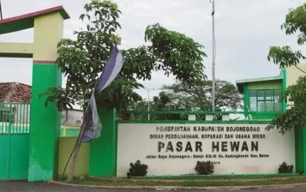 Pemkab Bojonegoro Perpanjang Penutupan Pasar Hewan