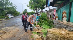 Dampak Bencana Angin, Polisi bersama Instansi Lainnya Atasi Pohon Tumbang