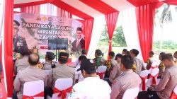 Polresta Banyuwangi Giat Panen Jagung Serentak di SMA Negeri 2 Taruna Bhayangkara 