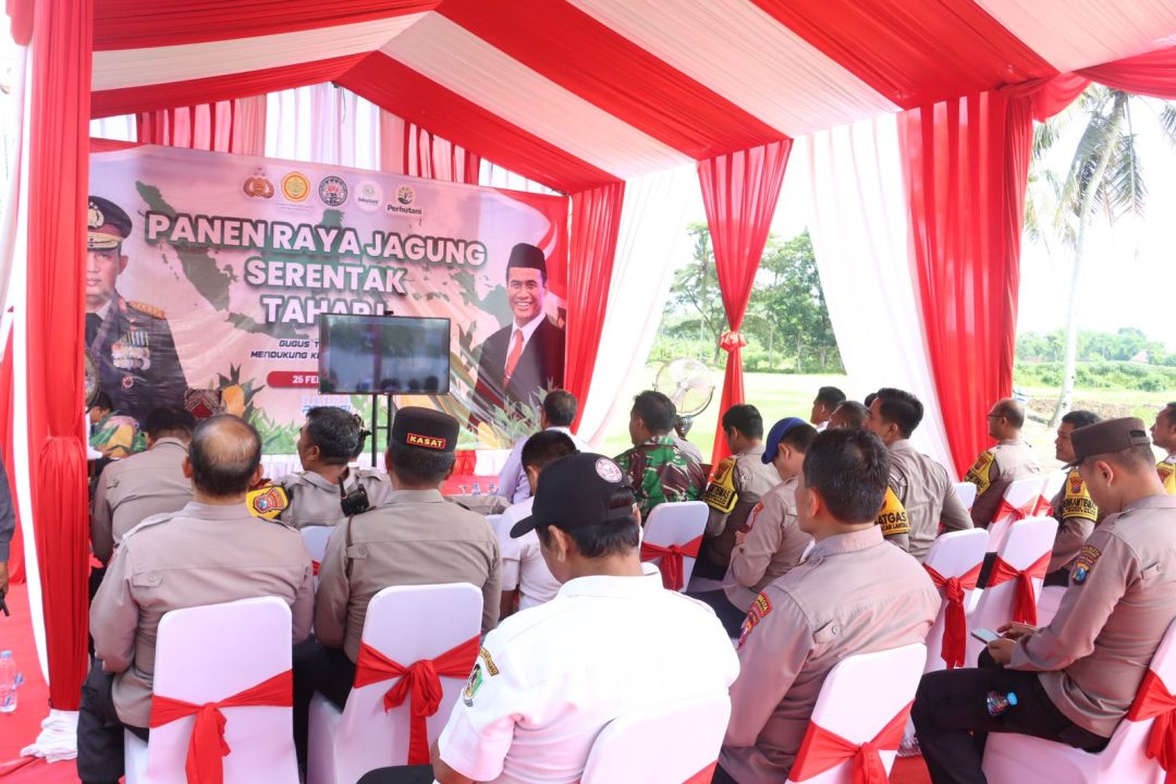 Polresta Banyuwangi Giat Panen Jagung Serentak di SMA Negeri 2 Taruna Bhayangkara 