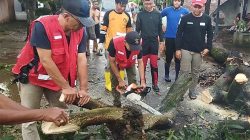 Angin Ribut Lewat Mojokerto:  Pohon Bertumbangn Timpa Rumah dan Mobil