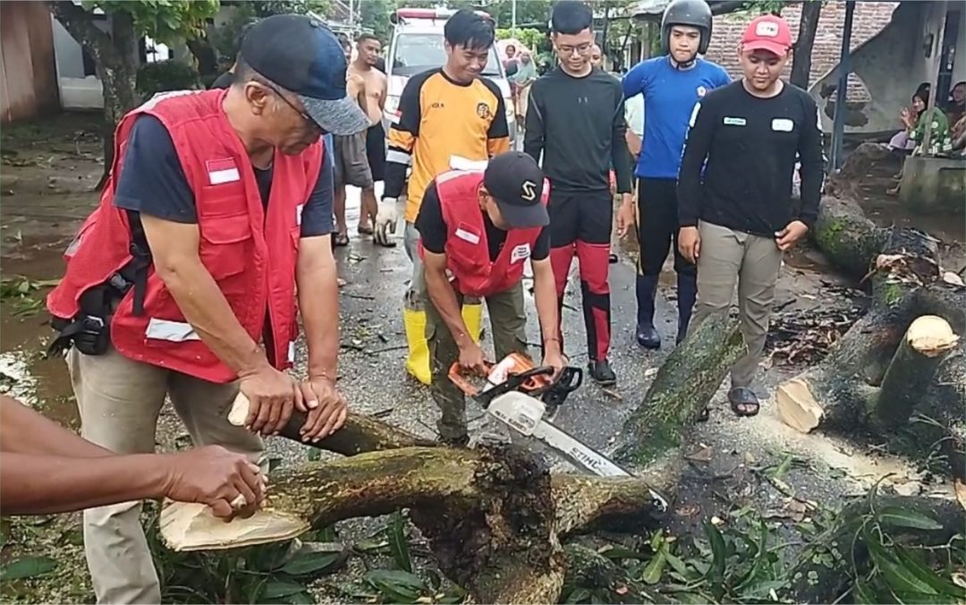 Angin Ribut Lewat Mojokerto:  Pohon Bertumbangn Timpa Rumah dan Mobil