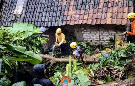 Hujan Deras Sabtu Sore Sebabkan Longsor Di Kecamatan Poncol