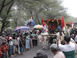 Lebaran Ketupat Puluhan Pegon Kepung Pantai Watu Ulo,Ada Apa ?