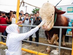 Jatim Pastikan Stok Hewan Kurban Surplus dan Bebas PMK–LSD Jelang Idul Adha 1447 H