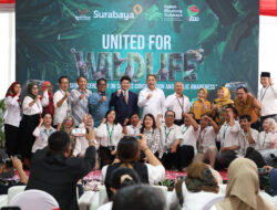 KBS Jalin Kerja Sama Konservasi dengan iZoo Shizuoka Jepang