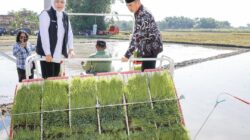 Gerakan Percepatan Tanam di Madiun, Jatim Siap Jaga Ketahanan Pangan Nasional