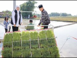 Gerakan Percepatan Tanam di Madiun, Jatim Siap Jaga Ketahanan Pangan Nasional