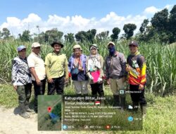 Petani Tebu di Blitar Optimis Laksanakan Program Bongkar Ratoon dengan Benih Unggul